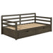 Gray Sorrento 2-drawer Twin XL daybed with extension trundle, featuring a modern furniture design from CoasterEssence.