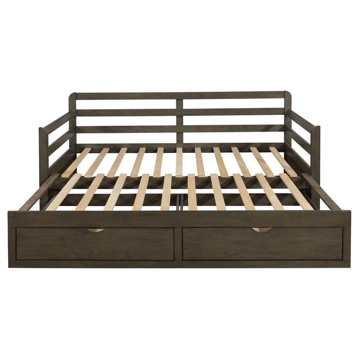 Grey Sorrento 2-drawer Twin XL daybed with extension trundle from CoasterEssence, showcasing its modern furniture design and storage drawers.