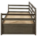 CoasterEssence Sorrento twin XL daybed with two drawers and extension trundle in grey, showing the wooden furniture with clean design