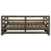 Grey Sorrento 2-drawer Twin XL daybed with extension trundle, featuring a modern furniture design by CoasterEssence.
