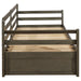 Grey Sorrento 2-drawer twin XL daybed with extension trundle, featuring a contemporary CoasterEssence furniture design.