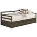 Grey Sorrento 2-drawer Twin XL daybed with extension trundle and storage drawers, made by CoasterEssence furniture.