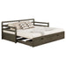 Grey Sorrento 2-drawer Twin XL daybed with extension trundle, featuring a sturdy furniture design by CoasterEssence.