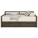 Grey Sorrento 2-drawer Twin XL daybed with extension trundle, featuring a modern furniture design by CoasterEssence.