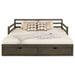Gray Sorrento 2-drawer Twin XL daybed with extension trundle and storage drawers, featuring a contemporary furniture design.