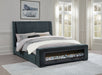 Dark blue Preston upholstered queen bed by CoasterEveryday with audio flame visualizer feature and plush fabric upholstery.