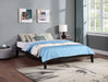 Black Hounslow Queen Universal Platform Bed from CoasterEveryday, shown in a modern bedroom setting.