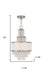 HomeRoots 20-inch metal chandelier with three lights, clear shades, and dimmable feature in nickel finish.