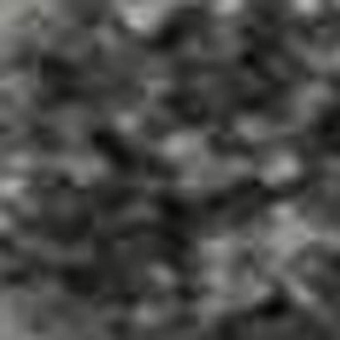 10' X 14' Animal Print Washable Area Rug With UV Protection (699046) - Gray / Silver / Ivory