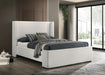White Alamosa Boucle Upholstered Queen Wingback Bed by CoasterEveryday with plush fabric and elegant wingback design.