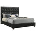 Black Medley Genuine Leather Queen Panel Platform Bed by CoasterEveryday with sleek, modern design and upholstered headboard.