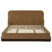 California King platform bed with upholstered headboard in curry and walnut finish, modern furniture from CoasterEveryday.