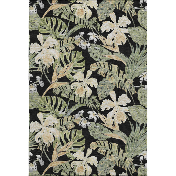 10' X 14' Floral Washable Area Rug With UV Protection (697824) - Black / Green / Beige