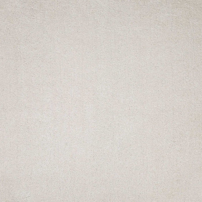 8' x 11' Indoor Shag Rug - Ivory