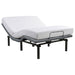 Tasca Full Dual-Motor Adjustable Bed Base by CoasterEveryday in black furniture finish