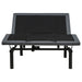 Black Tasca Full Dual-Motor Adjustable Bed Base by CoasterEveryday