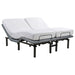 CoasterEveryday Tasca 2-piece split Eastern King dual-motor adjustable bed base in black finish