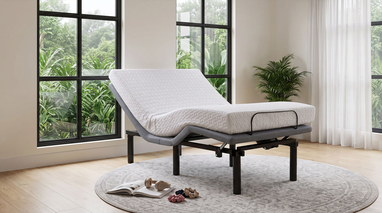 Tasca Twin XL black dual-motor adjustable bed base by CoasterEveryday
