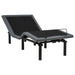Tasca Twin XL black dual-motor adjustable bed base by CoasterEveryday