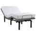 Tasca Twin XL black dual-motor adjustable bed base by CoasterEveryday