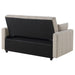 CoasterEveryday Portland latte boucle upholstered sleeper sofa bed, shown from the front