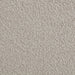 CoasterEveryday Portland latte boucle upholstered sleeper sofa bed with cushioned back and seat