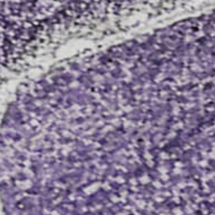 10' X 14' Abstract Washable Area Rug With UV Protection (647248) - Purple / Ivory