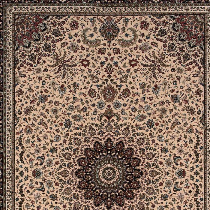 8' X 11' Oriental Area Rug - Ivory And Black