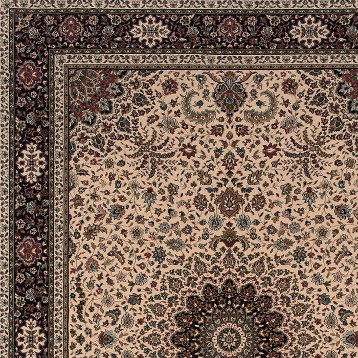 10' X 13' Oriental Area Rug - Ivory And Black
