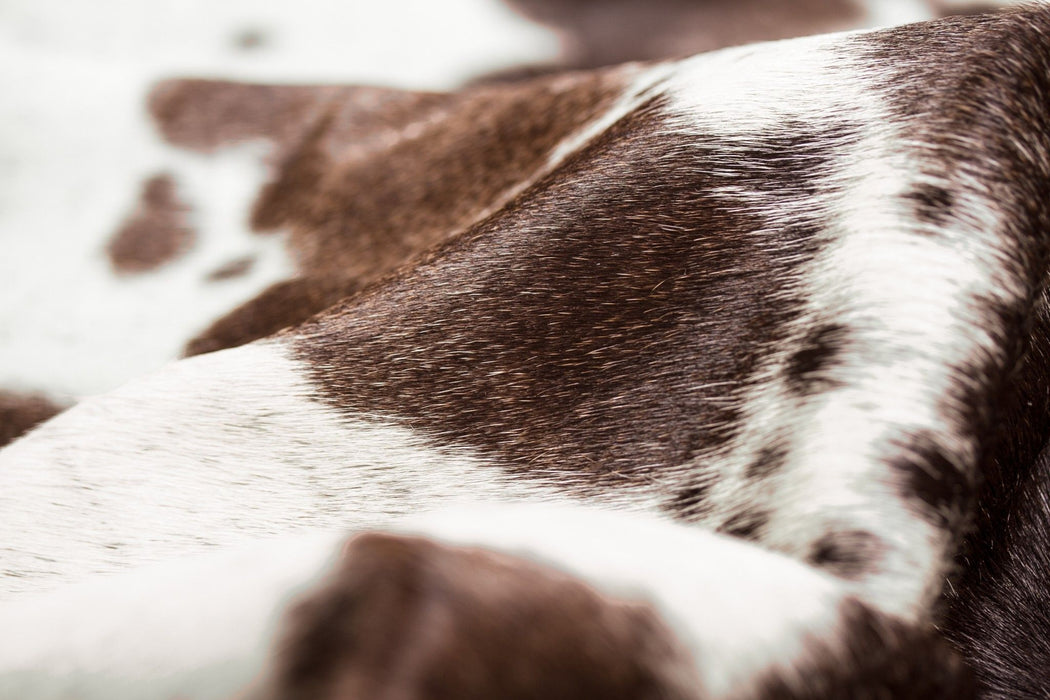 5' X 7' Spotted Natural Cowhide Area Rug - Brown And White