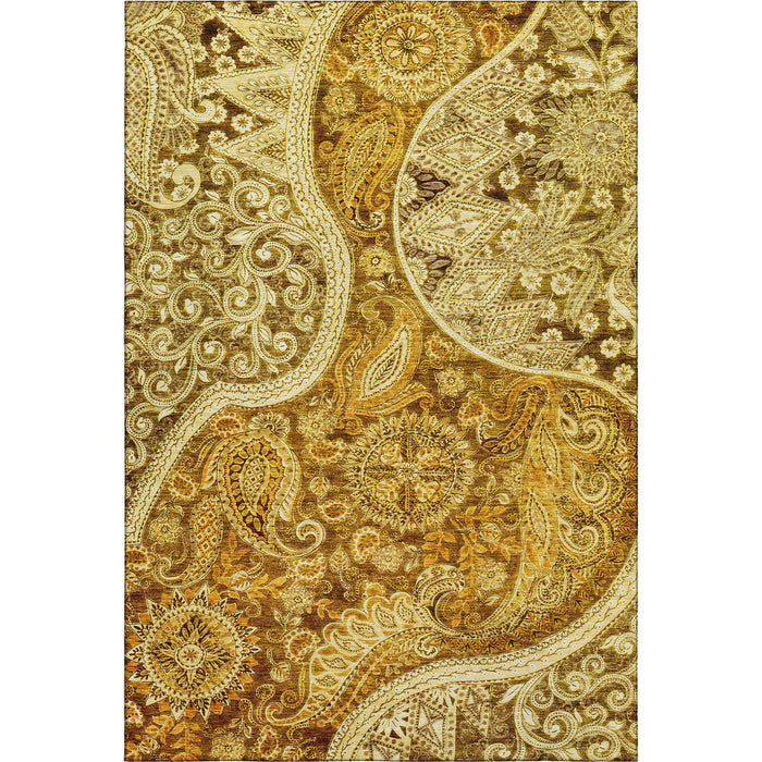 10' X 14' Paisley Washable Area Rug With UV Protection (683770) - Terra Cotta / Beige