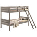 CoasterEveryday Ryder wood twin over twin bunk bed in weathered taupe with mattress, sturdy furniture design for kids' bedroom.