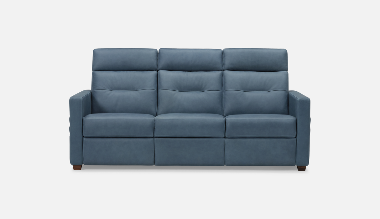 Palliser Customizable Sofa Reece - Alexandria Virginia & Washington DC