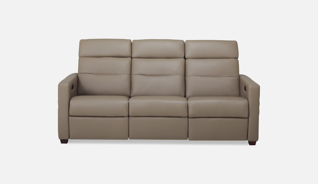Palliser Customizable Sofa Reece - Alexandria Virginia & Washington DC