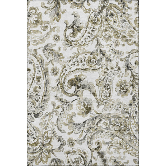 10' X 14' Paisley Washable Area Rug With UV Protection - Brown And Ivory