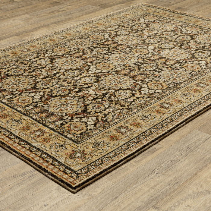 10' X 13' Oriental Area Rug - Brown And Gold
