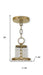 HomeRoots 20-inch metal chandelier with three shades, dimmable lighting, featuring gold finish and clear off-white shades.