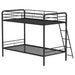 CoasterEveryday Carson twin-over-twin steel bunk bed in glossy black with angled ladder and sturdy metal frame.