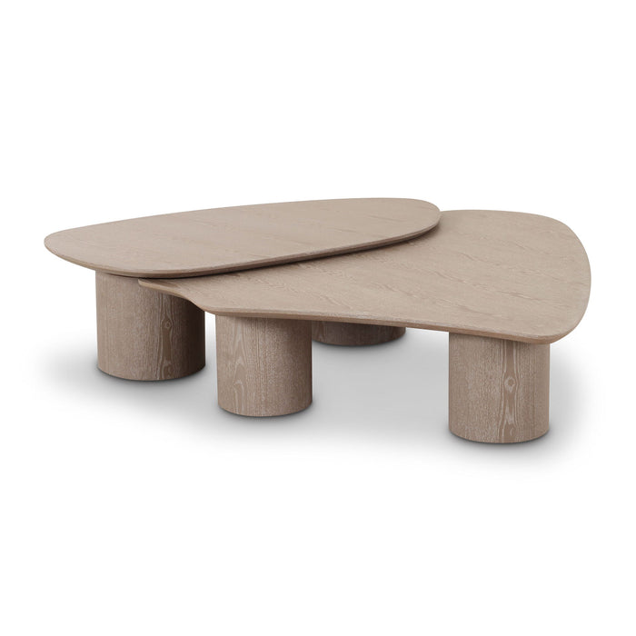 Rhema - Nesting Coffee Table (Set of 2) - Washed Ash