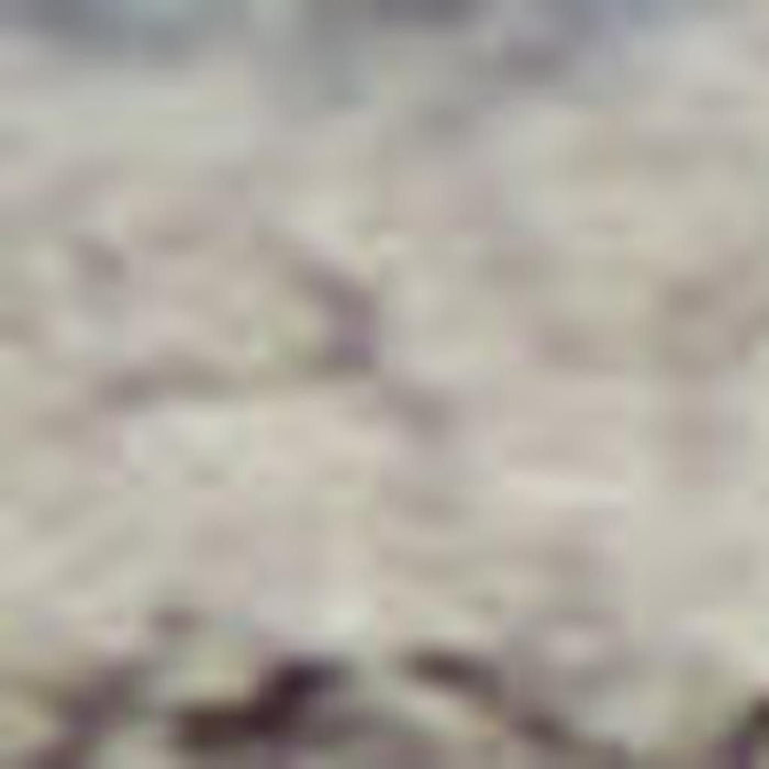 8' X 10' Floral Area Rug With Fringe (556385) - Blue / Gray / Cream
