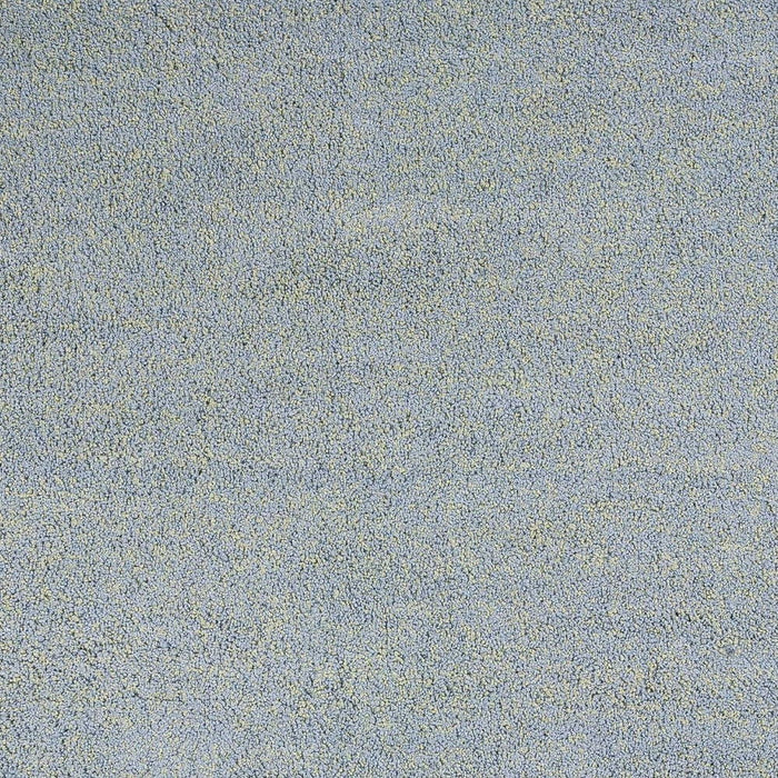 9' x 13' Heather Indoor Shag Rug - Blue