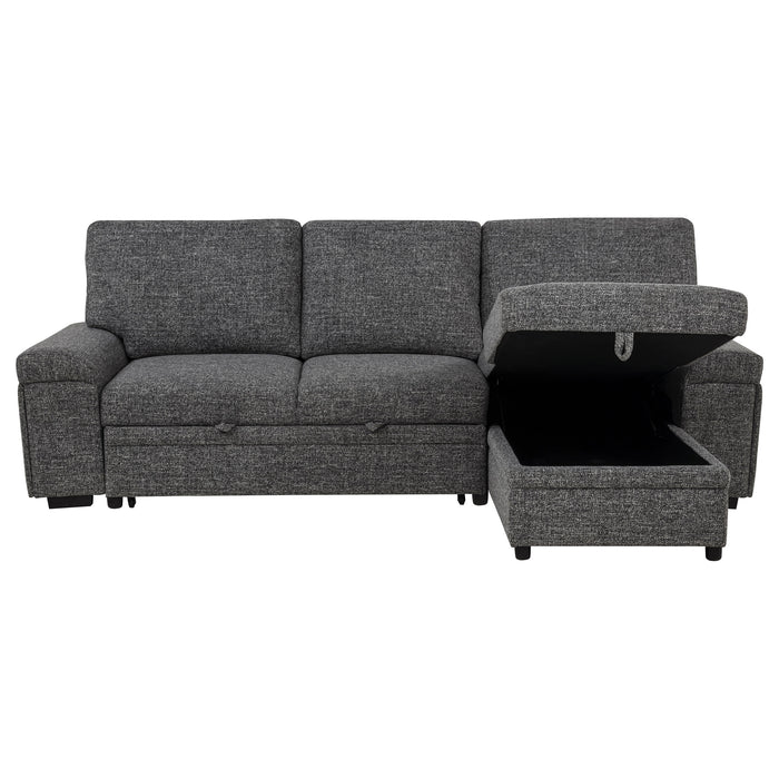Demko Sleeper Sectional Sofa with Speaker and Storage Chaise Granite