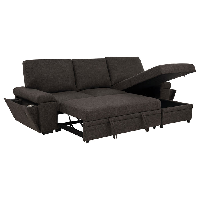 Demko Sleeper Sectional Sofa with Speaker and Storage Chaise Brown
