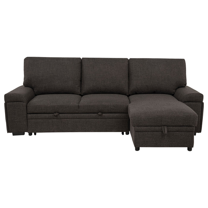 Demko Sleeper Sectional Sofa with Speaker and Storage Chaise Brown
