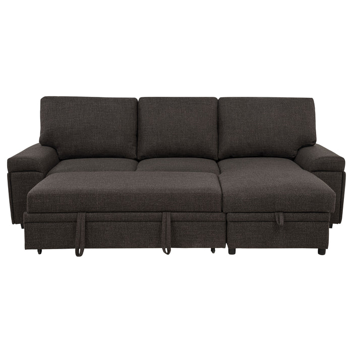 Demko Sleeper Sectional Sofa with Speaker and Storage Chaise Brown