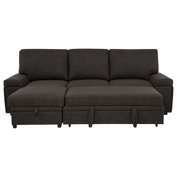 Demko Sleeper Sectional Sofa with Speaker and Storage Chaise Brown