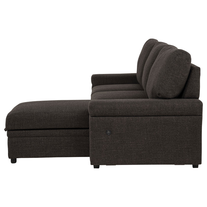Demko Sleeper Sectional Sofa with Speaker and Storage Chaise Brown
