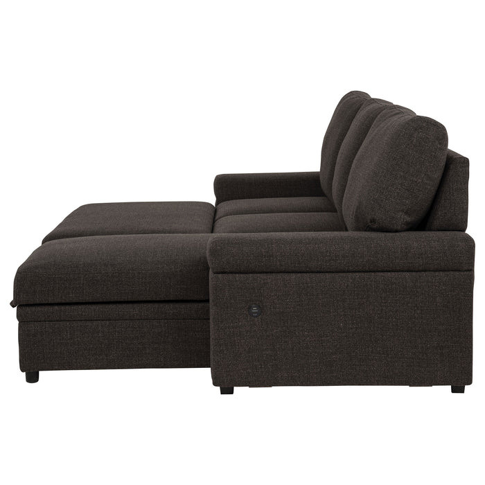 Demko Sleeper Sectional Sofa with Speaker and Storage Chaise Brown