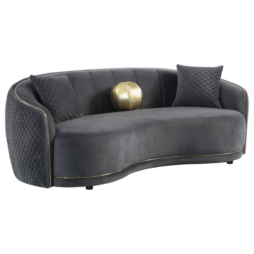 CoasterEveryday Brookside dark grey velvet upholstered curved sofa with plush cushions and rounded backrest