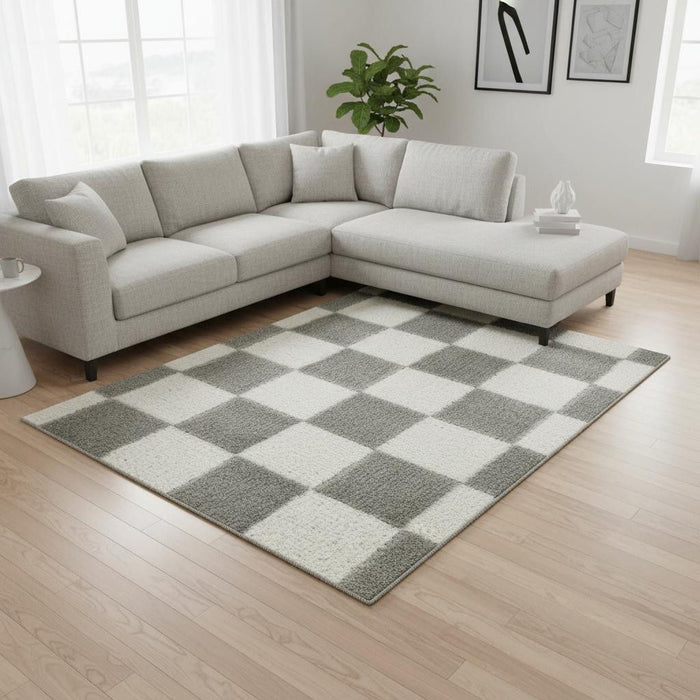 8' X 10' Checkered Area Rug (572991) - Ivory